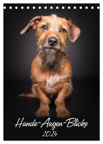 Hunde-Augen-Blicke (Tischkalender 2024 DIN A5 hoch), CALVENDO Monatskalender