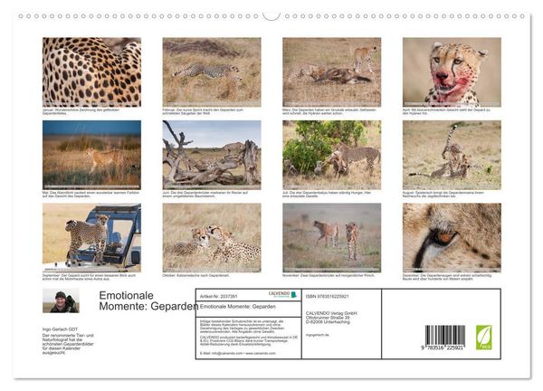 Produktbild: Emotionale Momente: Geparden (hochwertiger Premium Wandkalender 2026 DIN A2 quer), Kunstdruck in Hochglanz