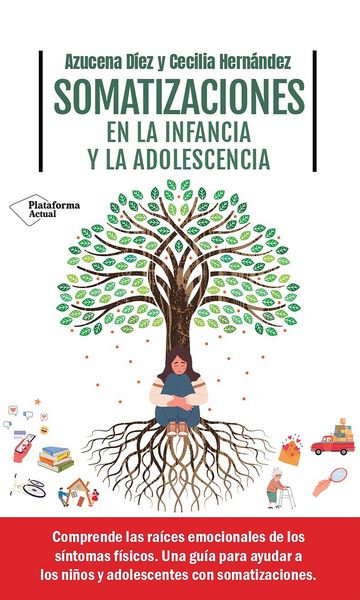 Produktbild: Somatizaciones en la infancia y la adolescencia