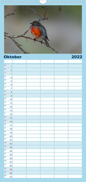 Produktbild: Familienplaner V&ouml;gel von "Down Under" Australien (Wandkalender 2022 , 21 cm x 45 cm, hoch)