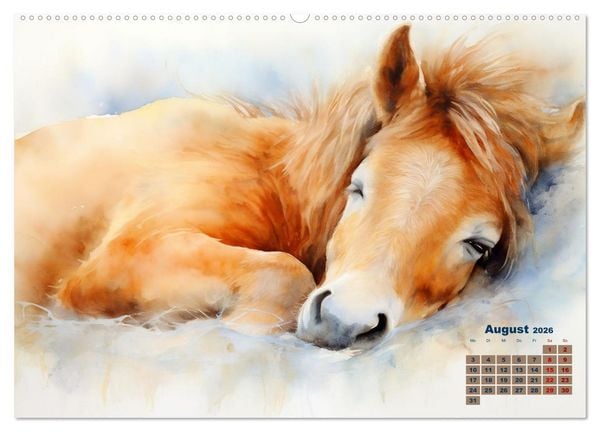 Produktbild: Kraftpakete in Aquarell (hochwertiger Premium Wandkalender 2026 DIN A2 quer), Kunstdruck in Hochglanz