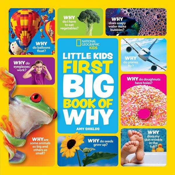 Produktbild: LITTLE KIDS FIRST_NATIONAL HB