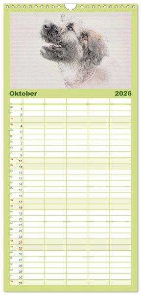 Produktbild: Familienplaner 2026 - Franz&ouml;sische Hirtenhunde 2026 mit 5 Spalten (Wandkalender, 21 x 45 cm) CALVENDO