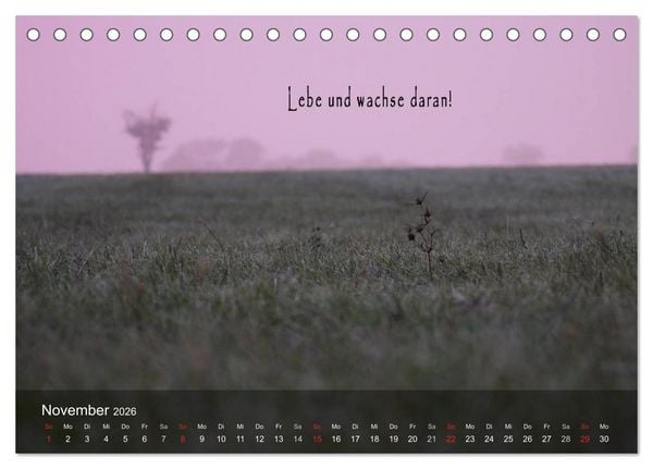 Produktbild: wundersch&ouml;ne Lichtmomente (Tischkalender 2026 DIN A5 quer), CALVENDO Monatskalender