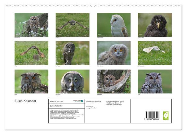 Produktbild: Eulen-Kalender (hochwertiger Premium Wandkalender 2026 DIN A2 quer), Kunstdruck in Hochglanz