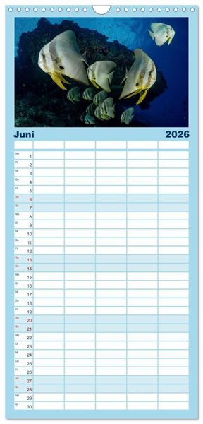 Produktbild: Familienplaner 2026 - Unterwasserwelt Christmas Island mit 5 Spalten (Wandkalender, 21 x 45 cm) CALVENDO