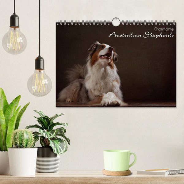 Produktbild: Charmante Australian Shepherds (Wandkalender 2026 DIN A4 quer), CALVENDO Monatskalender