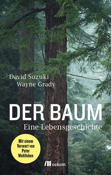 Produktbild: Der Baum