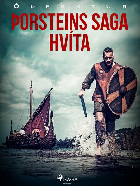 Produktbild: &Egrave;orsteins saga hv&iacute;ta