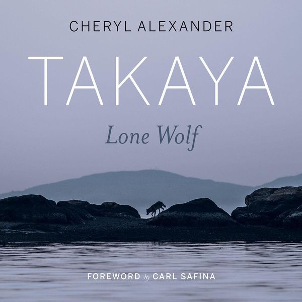 Produktbild: Takaya