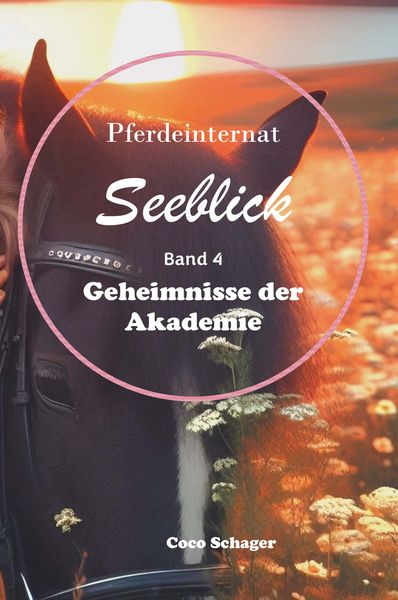 Produktbild: Pferdeinternat Seeblick Band 4