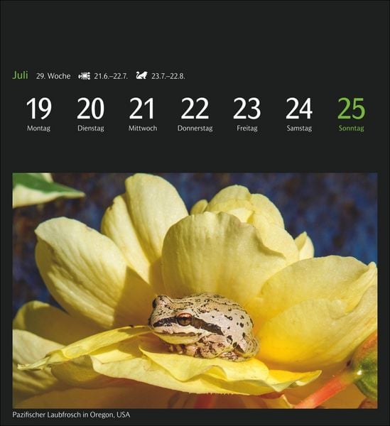 Produktbild: GEO Magische Natur Postkartenkalender 2027 - Wochenkalender mit 53 Postkarten