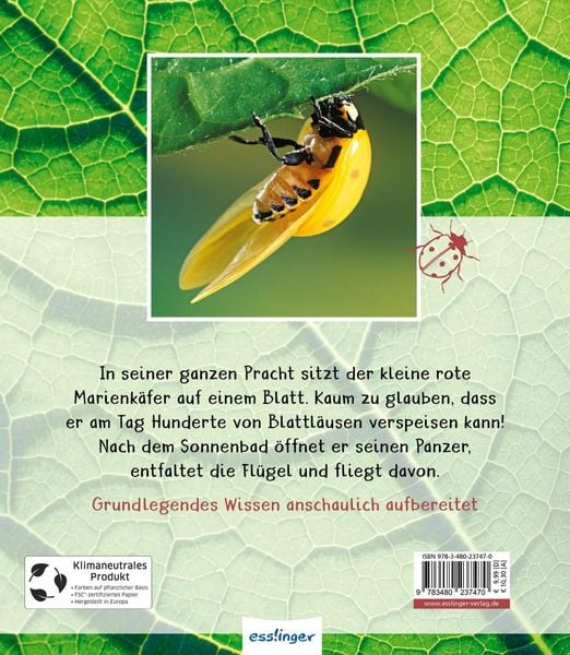 Produktbild: Meine gro&szlig;e Tierbibliothek: Der Marienk&auml;fer