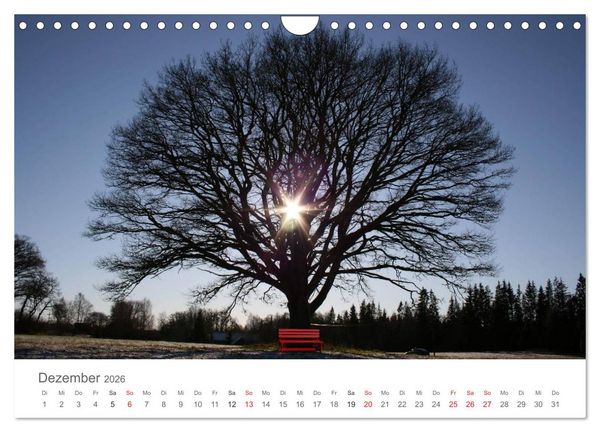 Produktbild: Meine Lieblingspl&auml;tze in S&uuml;dschweden (Wandkalender 2026 DIN A4 quer), CALVENDO Monatskalender