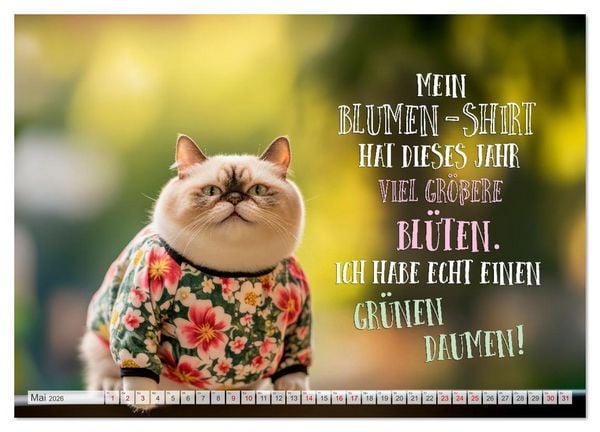 Produktbild: FLAUSCHFIGUR DELUXE Jeden Monat ein H&auml;ppchen Humor (Wandkalender 2026 DIN A3 quer), CALVENDO Monatskalender