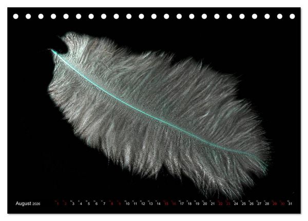 Produktbild: Federleichte Momente (Tischkalender 2026 DIN A5 quer), CALVENDO Monatskalender