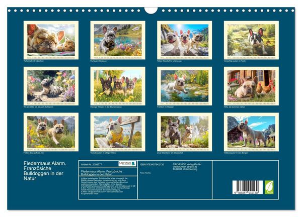 Produktbild: Fledermaus Alarm. Franz&ouml;siche Bulldoggen in der Natur (Wandkalender 2026 DIN A3 quer), CALVENDO Monatskalender