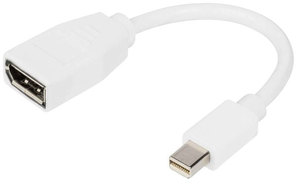 Digitus  Adapter DisplayPort Stecker, Mini DisplayPort Stecker 0.15 m Weiß DB-340405-001-W  DisplayPort-Kabel