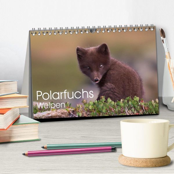Produktbild: Polarfuchs-Welpen (Tischkalender 2026 DIN A5 quer), CALVENDO Monatskalender