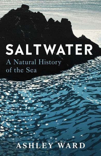 Produktbild: Saltwater