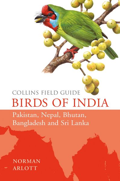Produktbild: Birds of India