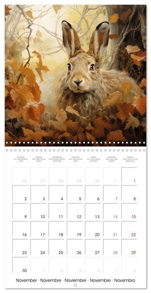 Produktbild: Des amours de lapins (Calendrier mural carr&eacute; 2026 30x30 cm) Calendrier double avec une page pour vos prises de notes