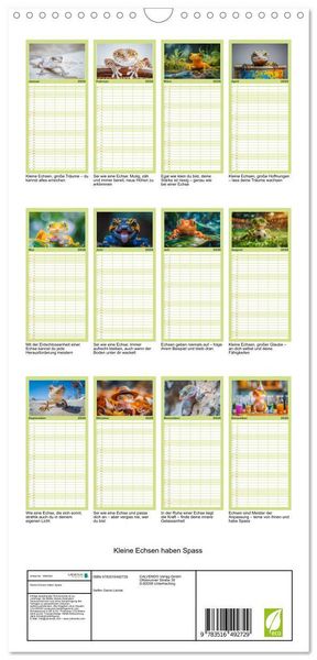 Produktbild: Familienplaner 2026 - Kleine Echsen haben Spass mit 5 Spalten (Wandkalender, 21 x 45 cm) CALVENDO