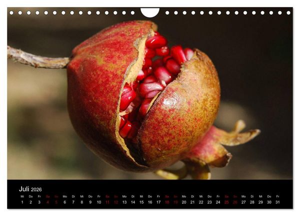 Produktbild: Erfrischend fruchtig (Wandkalender 2026 DIN A4 quer), CALVENDO Monatskalender