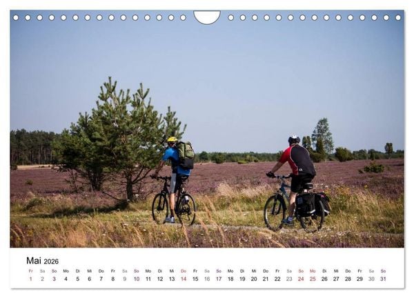 Produktbild: L&uuml;neburger Heide (Wandkalender 2026 DIN A4 quer), CALVENDO Monatskalender