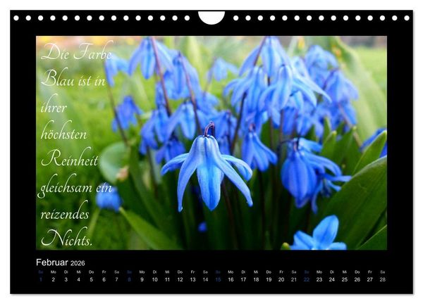 Produktbild: Goethes Blau. Gedanken zur Farbe (Wandkalender 2026 DIN A4 quer), CALVENDO Monatskalender