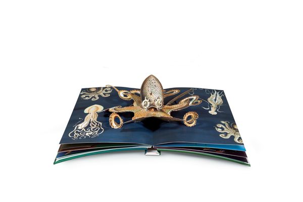 Wunderwesen aus der Tiefe. Ernst Haeckel