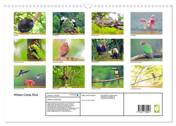 Produktbild: Wildes Costa Rica (Wandkalender 2026 DIN A3 quer), CALVENDO Monatskalender