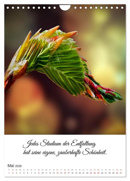 Produktbild: Die Erfahrung des Lebendigseins (Wandkalender 2026 DIN A4 hoch), CALVENDO Monatskalender
