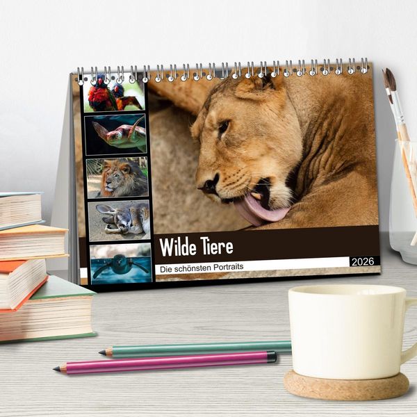Produktbild: Wilde Tiere - Die sch&ouml;nsten Portraits (Tischkalender 2026 DIN A5 quer), CALVENDO Monatskalender
