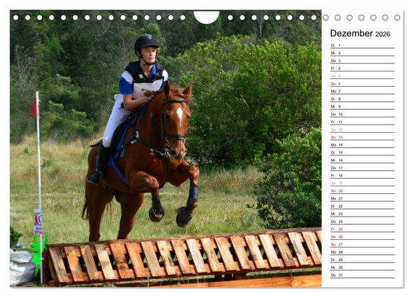 Produktbild: Mein Reitsport Kalender (Wandkalender 2026 DIN A4 quer), CALVENDO Monatskalender