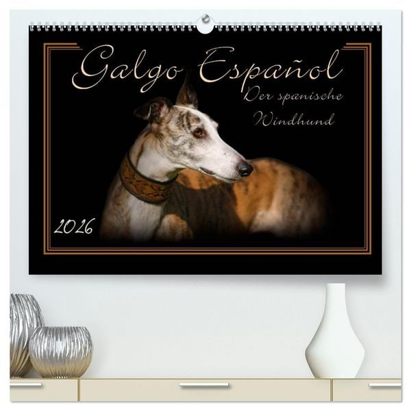Produktbild: Galgo Espa&ntilde;ol 2026- Der spanische Windhund (hochwertiger Premium Wandkalender 2026 DIN A2 quer), Kunstdruck in Hochglanz