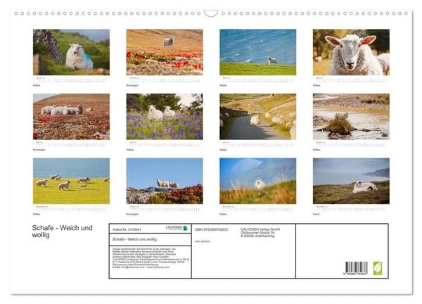 Produktbild: Schafe - Weich und wollig (Wandkalender 2027 DIN A2 quer), CALVENDO Monatskalender