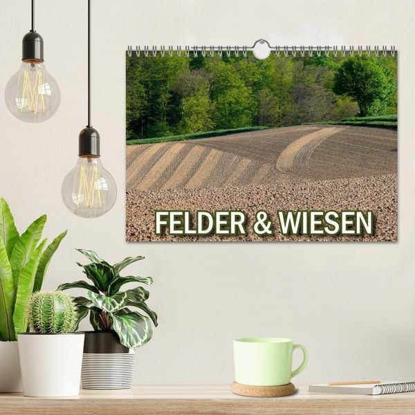 Produktbild: Felder und Wiesen (Wandkalender 2026 DIN A4 quer), CALVENDO Monatskalender