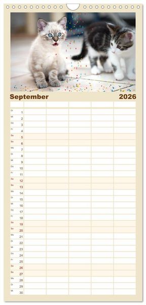 Produktbild: Familienplaner 2026 - Katzenbabys beobachtet mit 5 Spalten (Wandkalender, 21 x 45 cm) CALVENDO