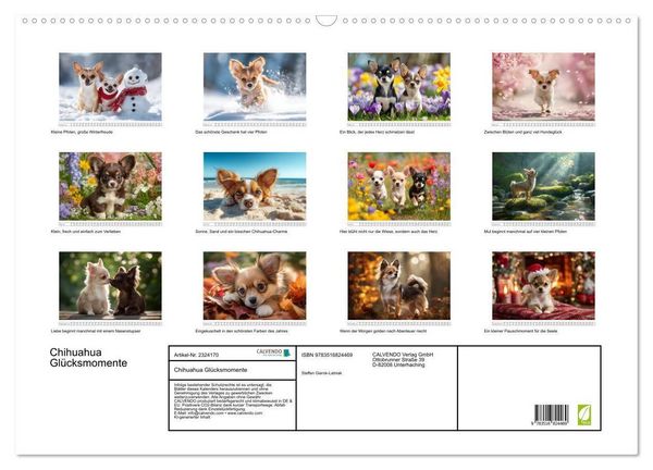 Produktbild: Chihuahua Gl&uuml;cksmomente (Wandkalender 2027 DIN A2 quer), CALVENDO Monatskalender