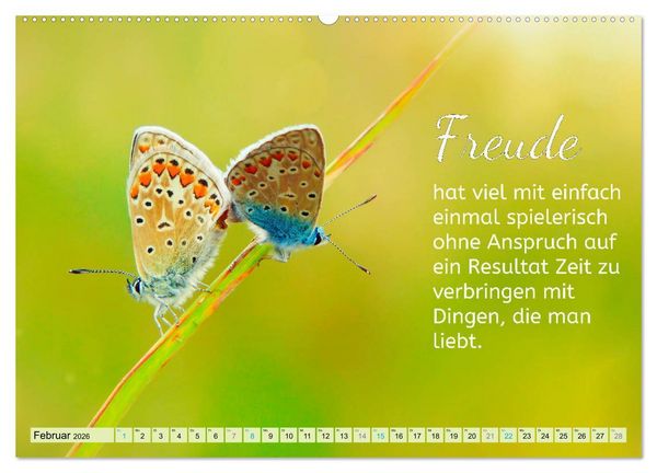 Produktbild: Der Spruchkalender - Inspirationen (hochwertiger Premium Wandkalender 2026 DIN A2 quer), Kunstdruck in Hochglanz