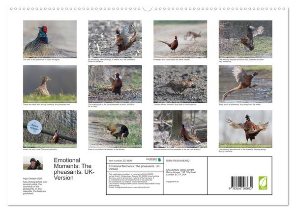 Produktbild: Emotional Moments: The pheasants. UK-Version (High Quality Premium Wall Calendar 2026 DIN A2 landscape),CALVENDO 12 Month Wall Calendar