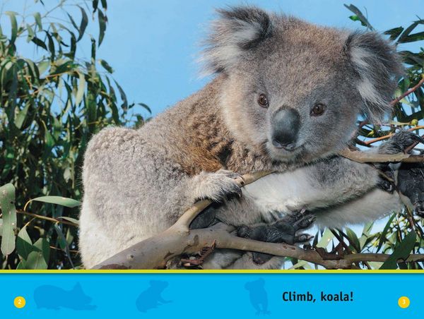 Produktbild: Climb, Koala!