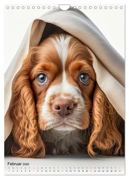 Produktbild: Cocker Spaniel - ein Hund f&uuml;r die Familie (Wandkalender 2026 DIN A4 hoch), CALVENDO Monatskalender