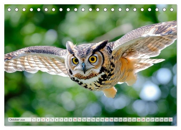 Produktbild: EULEN W&auml;chter des Waldes (Tischkalender 2026 DIN A5 quer), CALVENDO Monatskalender