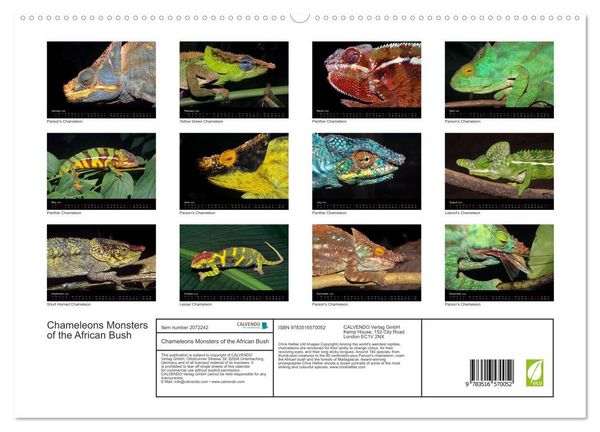 Produktbild: Chameleons Monsters of the African Bush (High Quality Premium Wall Calendar 2026 DIN A2 landscape),CALVENDO 12 Month Wall Calendar