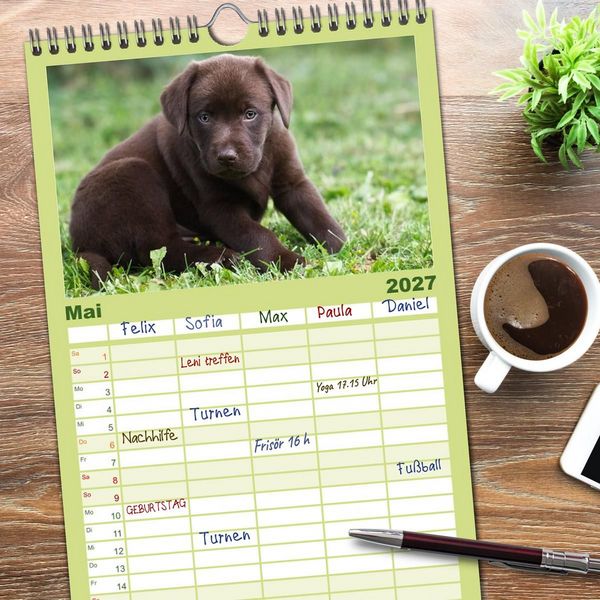 Produktbild: Familienplaner 2027 - Labrador Welpen mit 5 Spalten (Wandkalender, 21 x 45 cm) CALVENDO