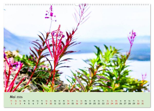Produktbild: Entdecke den Yukon (Wandkalender 2026 DIN A2 quer), CALVENDO Monatskalender