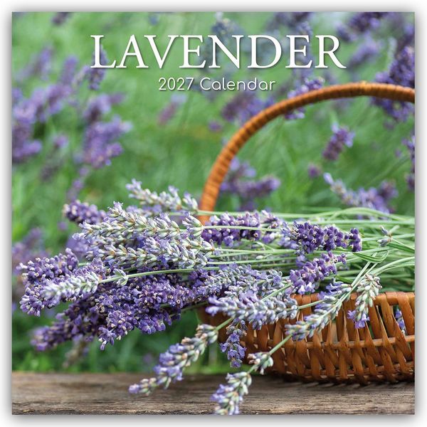 Produktbild: Lavender &ndash; Lavendel 2027 &ndash; 16-Monatskalender
