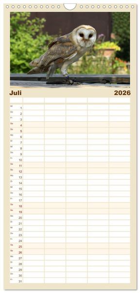 Produktbild: Familienplaner 2026 - Eulen. Gefiederte Weisheit mit 5 Spalten (Wandkalender, 21 x 45 cm) CALVENDO